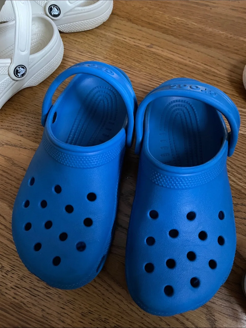 CROCS Kids Classic Clog in Bright Blue size 3